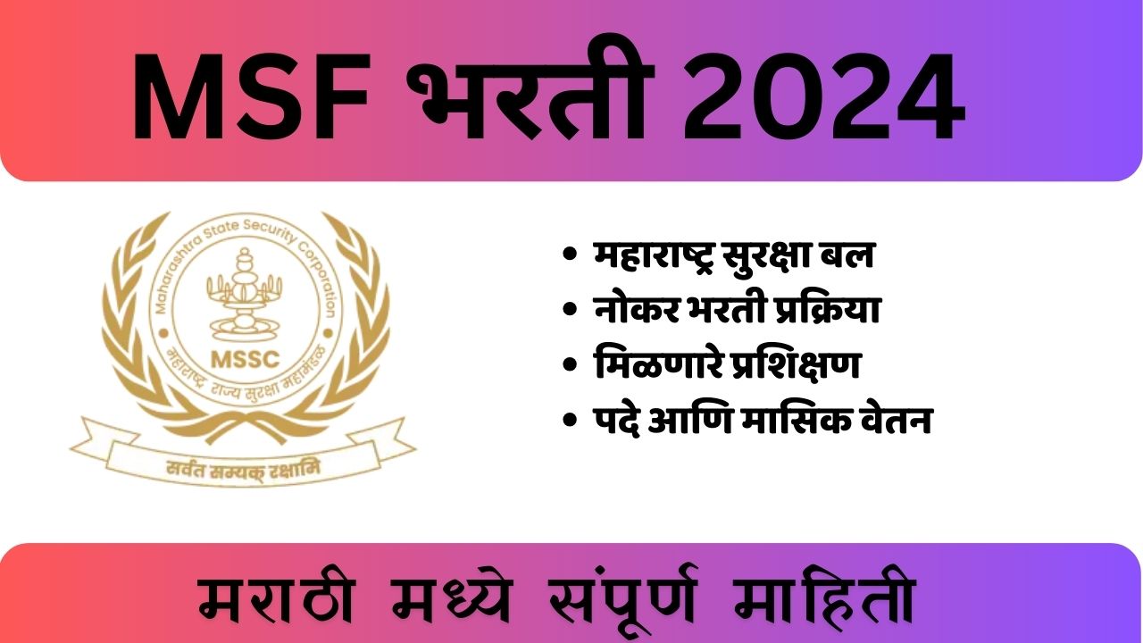 MSF bharti 2024